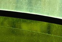 Banner 1 Contact