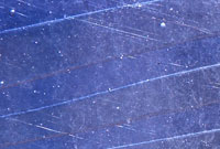 Banner 1 Gallery