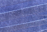 Banner 2 Gallery