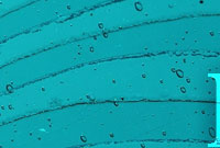 Banner 2 Process