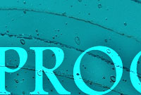 Banner 3 Process