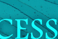 Banner 4 Process